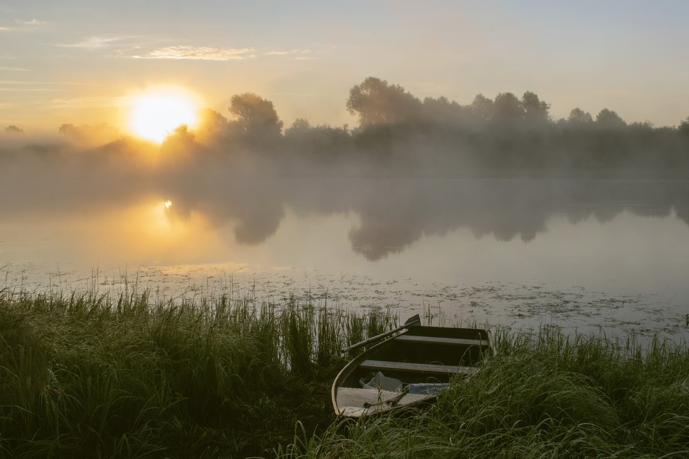 Зорька летняя