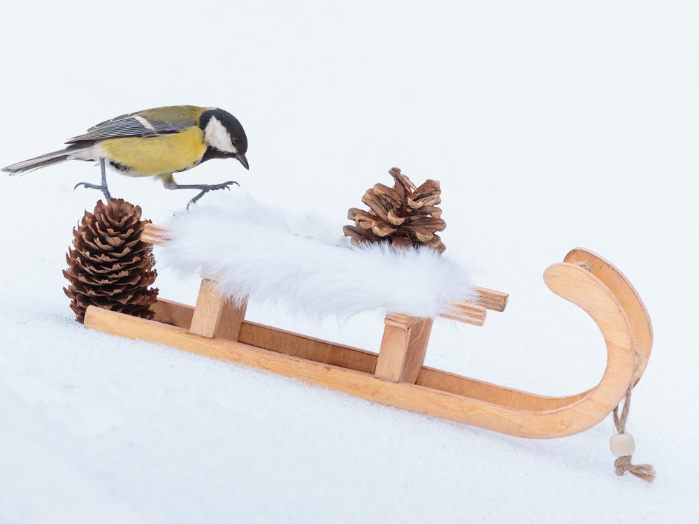 Winter memories: sledding.