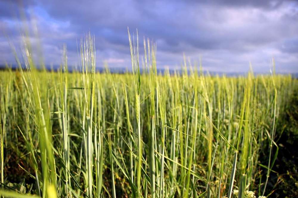 Photograph by Валерия Вишневская