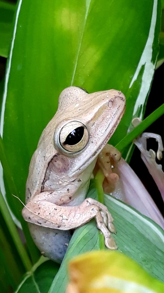 I've got my eye on you..