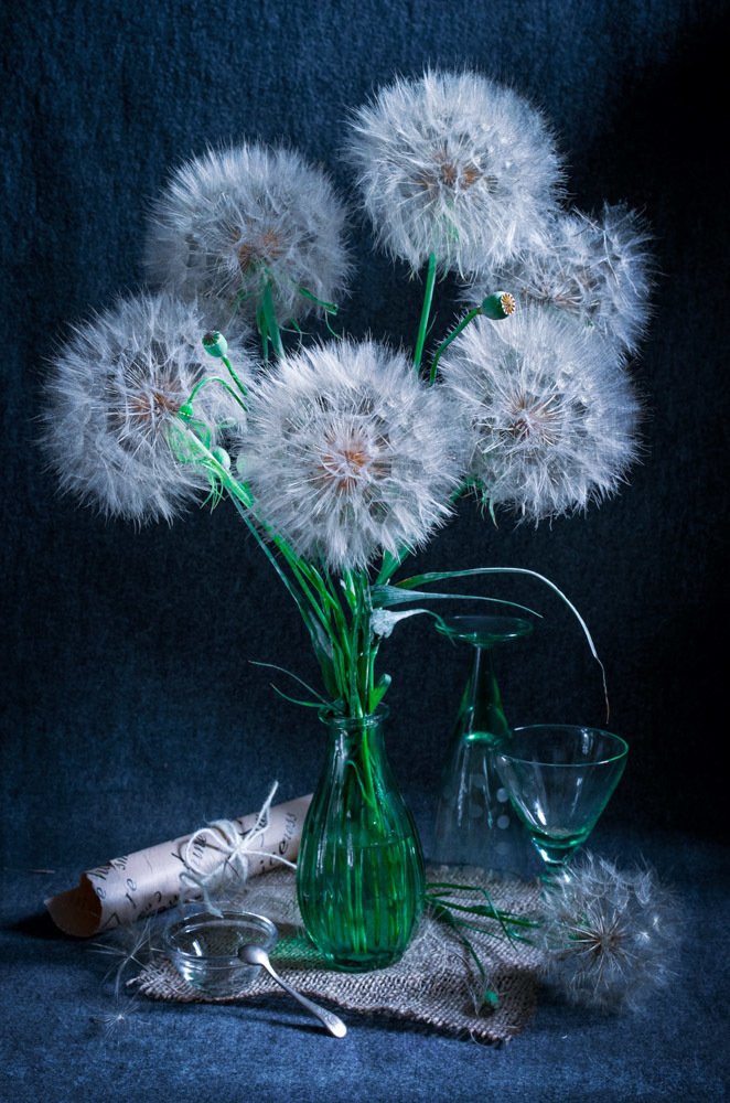 Photograph by 