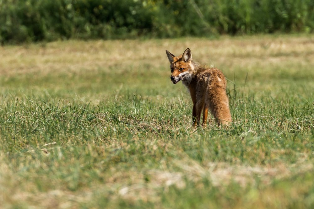 Photograph by Vitalijs