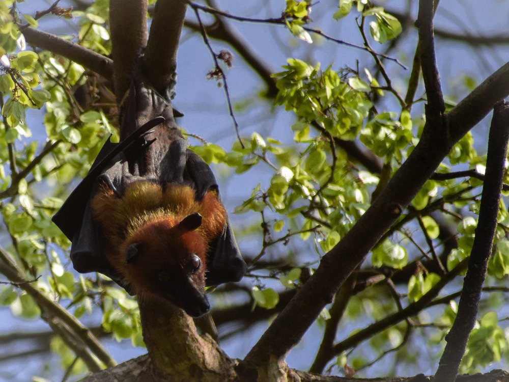 LRM_EXPORT_51066875765009_20190622_230149471