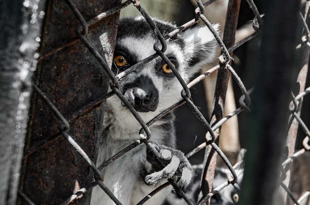 Photograph by Руслан Круглов