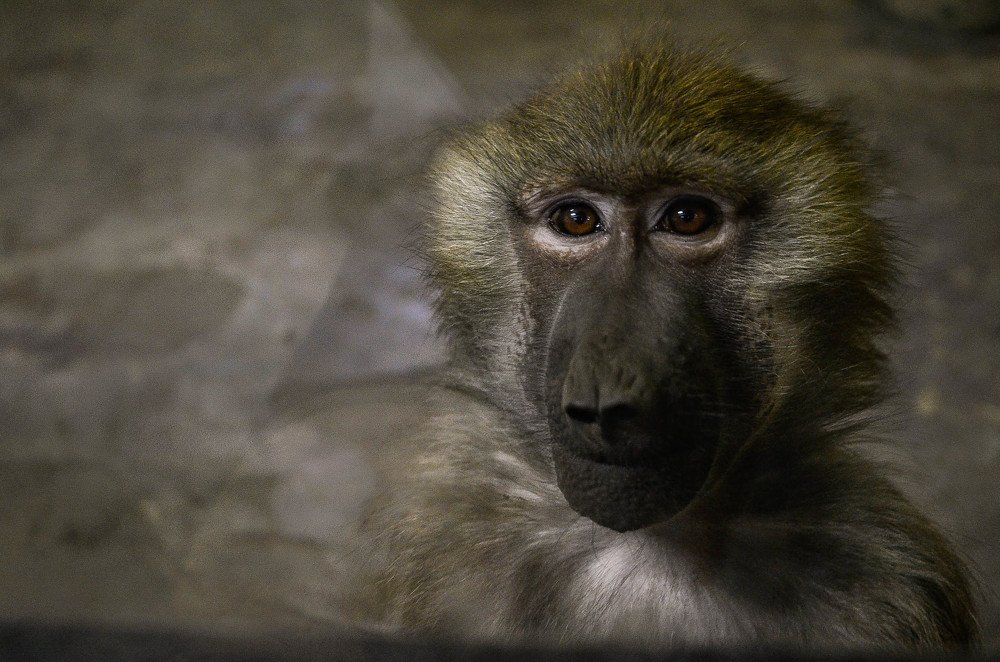 Photograph by Руслан Круглов