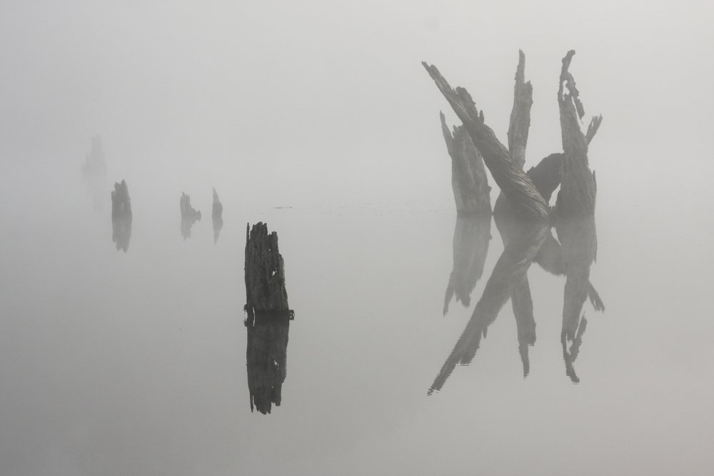 Неестественная среда обитания