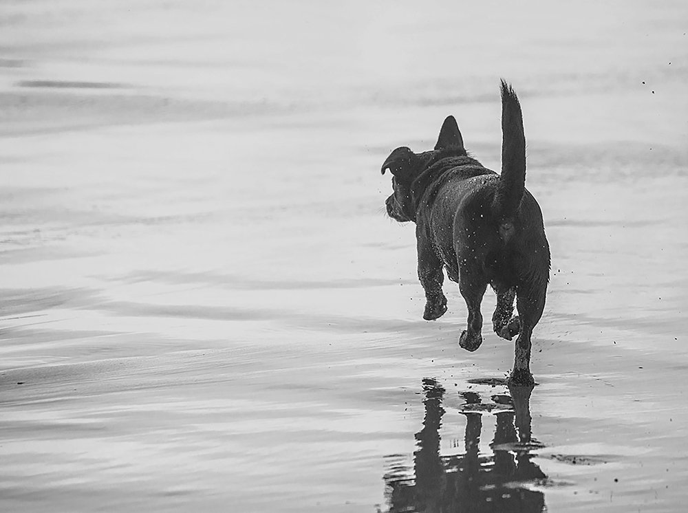 Photograph by Владислав Айзенберг