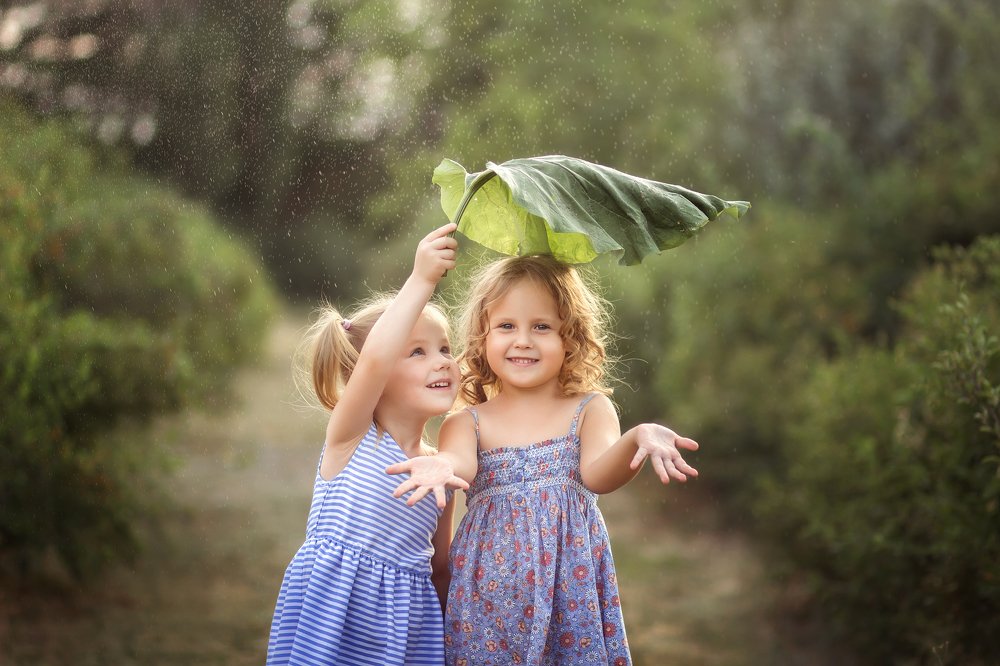 грибной дождик