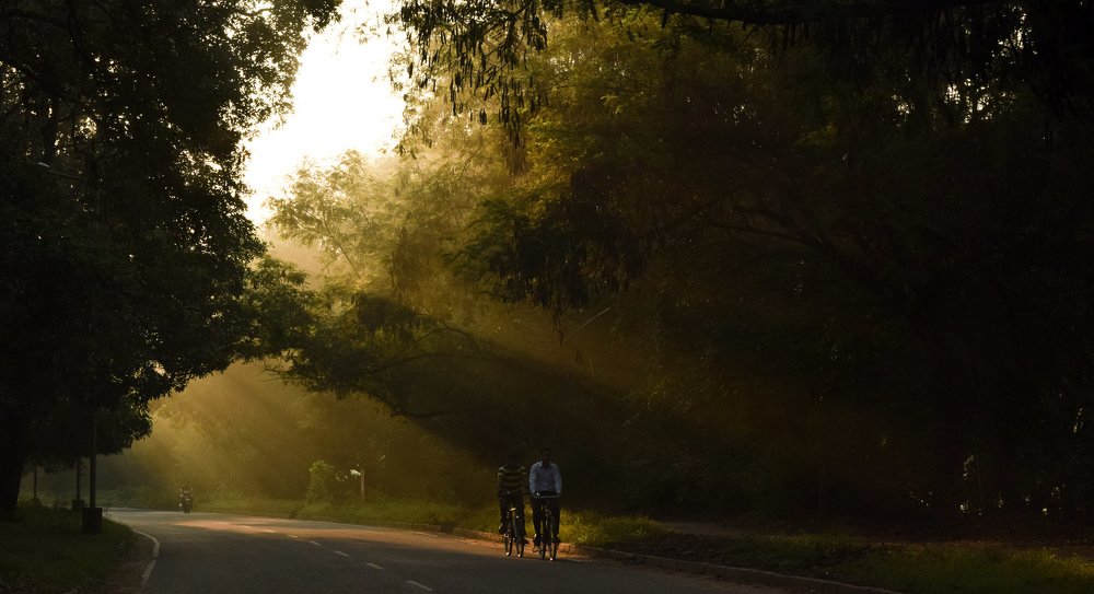 When morning comes to a halt.