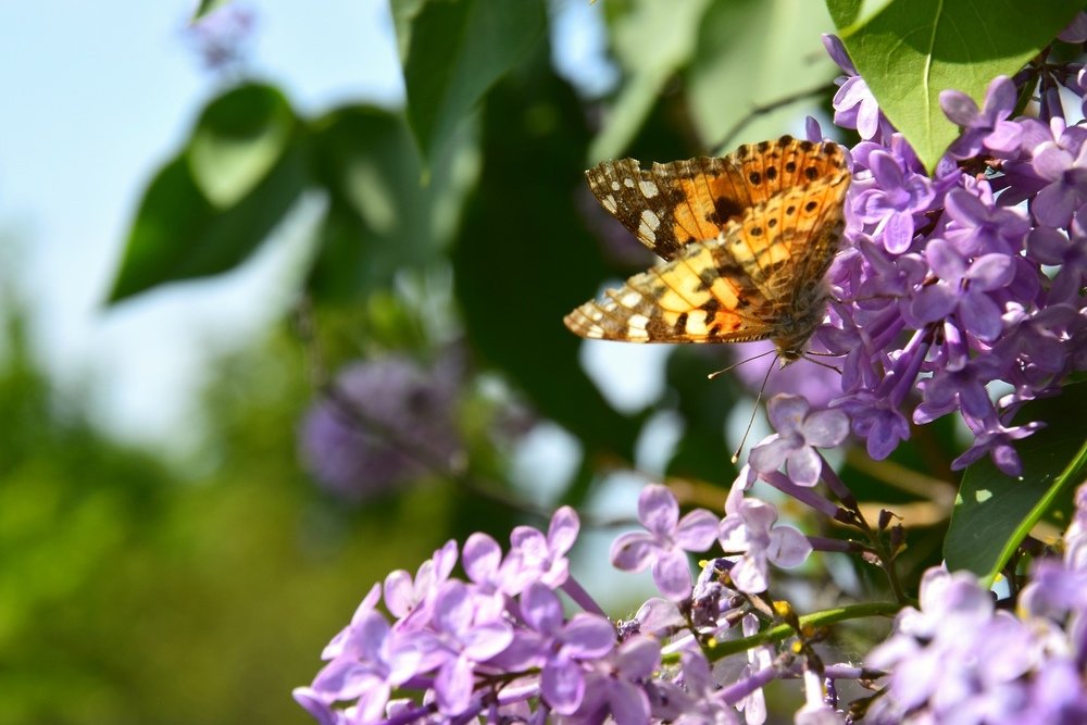 Photograph by Никита Николаевич Данилов