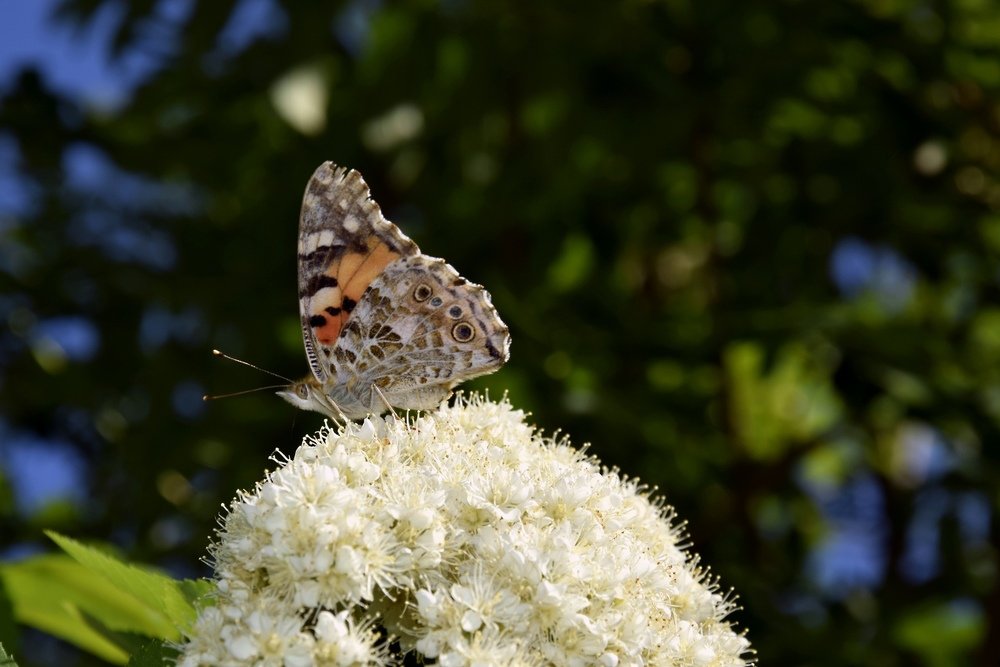 Photograph by Никита Николаевич Данилов
