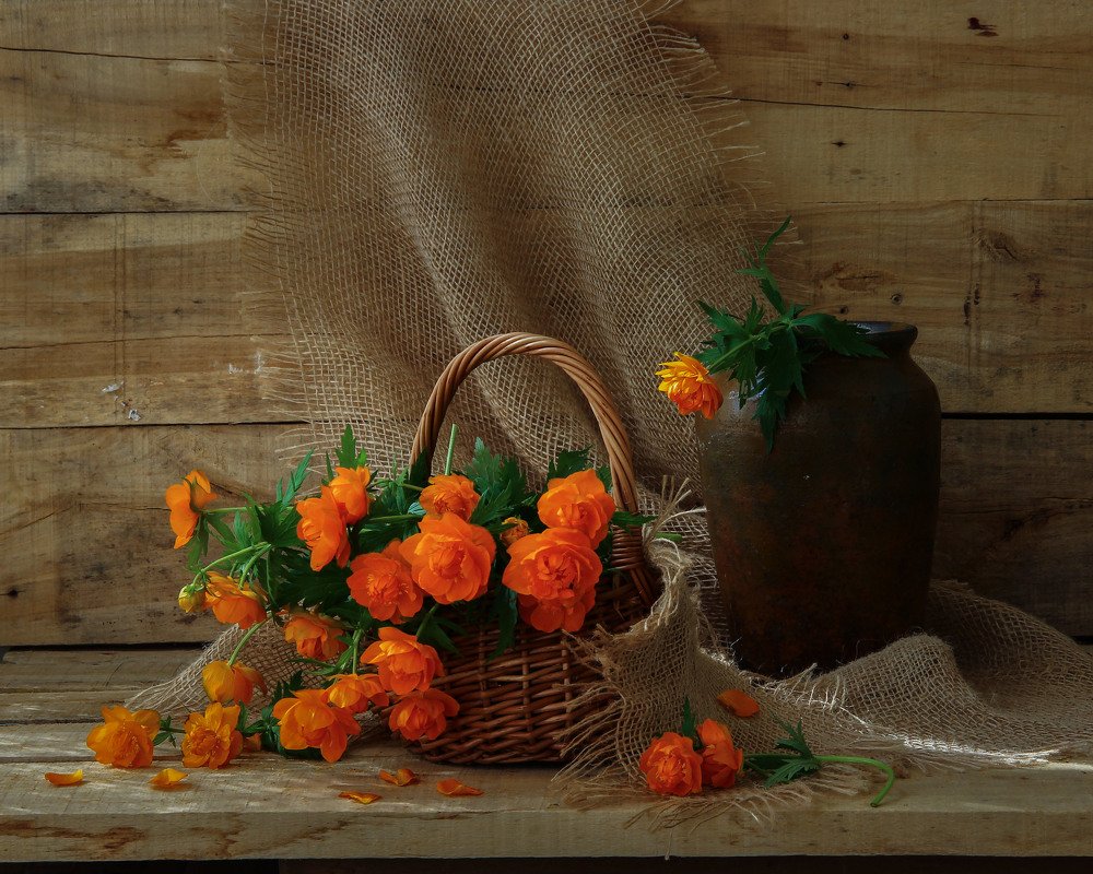 жарки, солнца цветки...