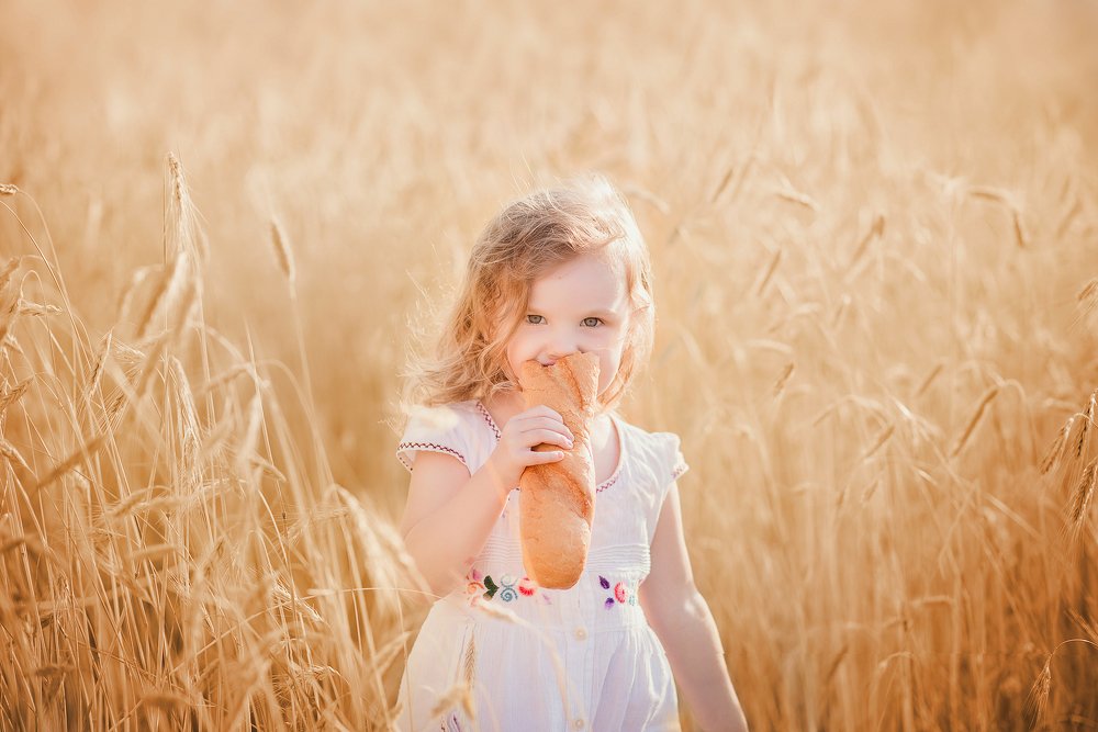 Лето - это маленькая жизнь