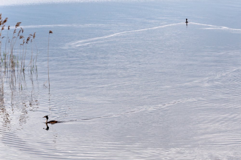 Разошлись пути