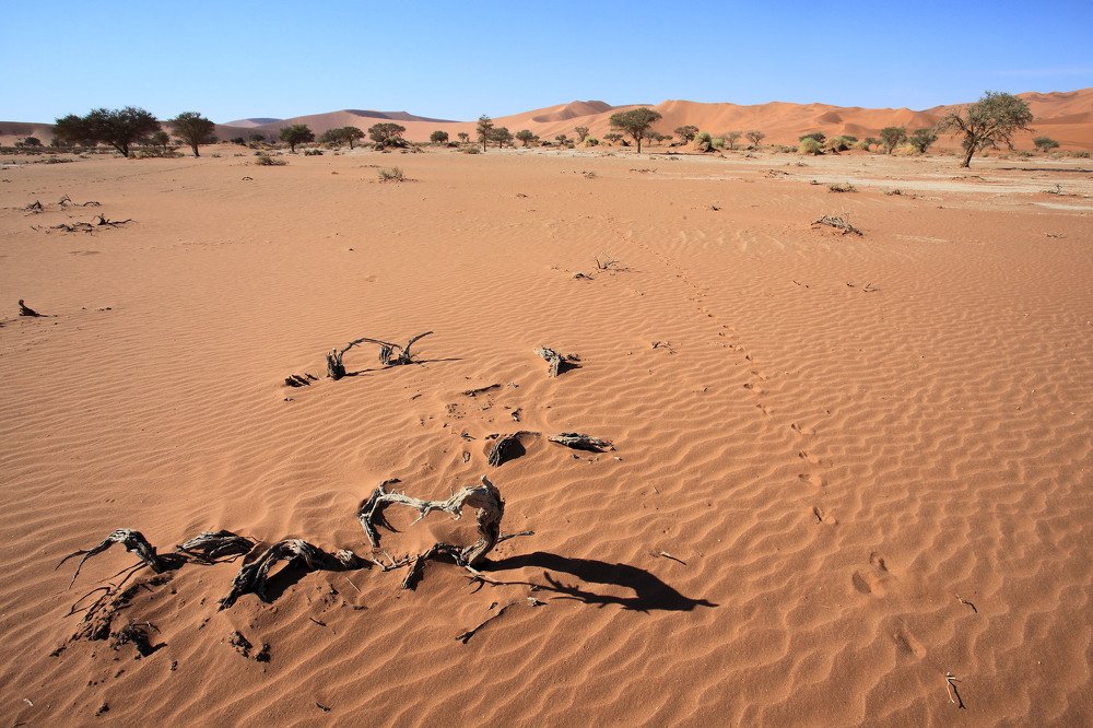 Namibian desert