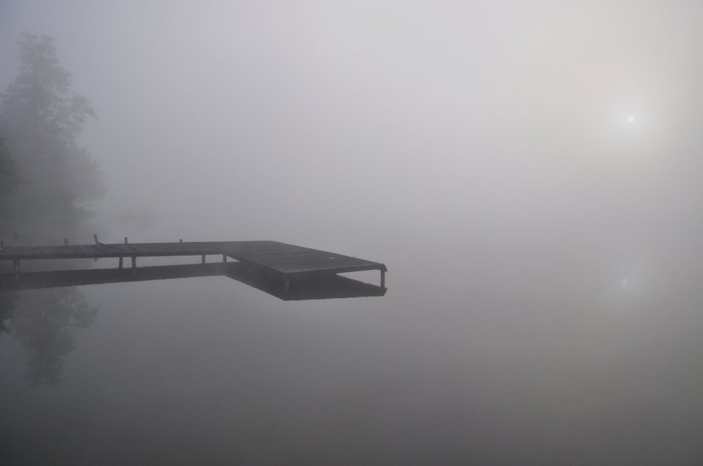 foggy morning at the lake