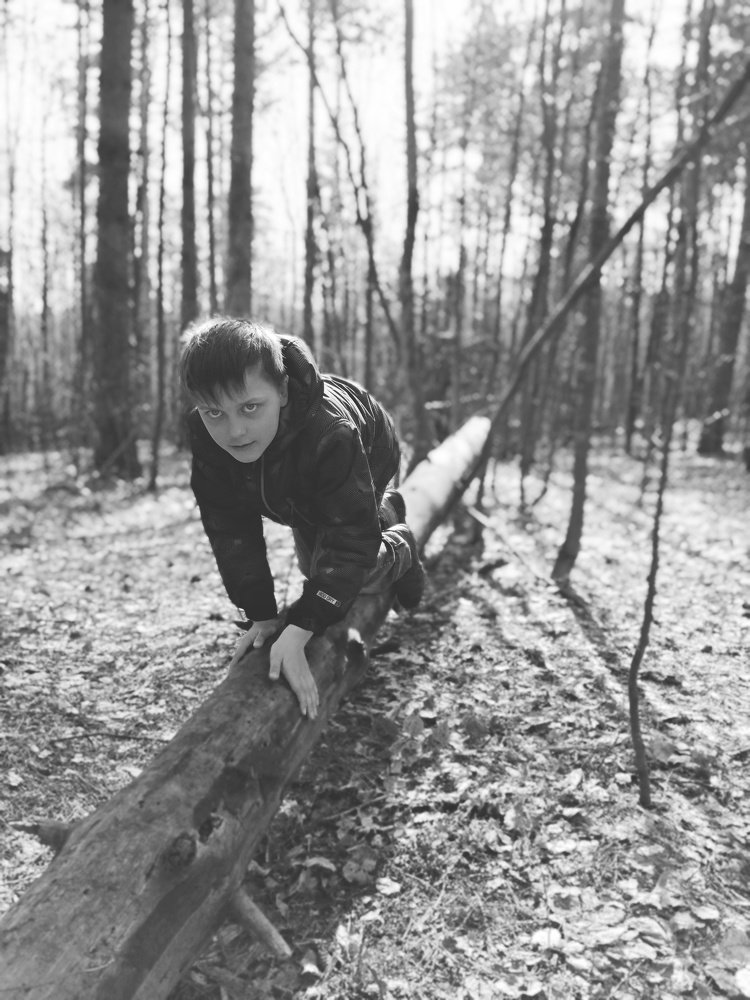 я кото-тигр