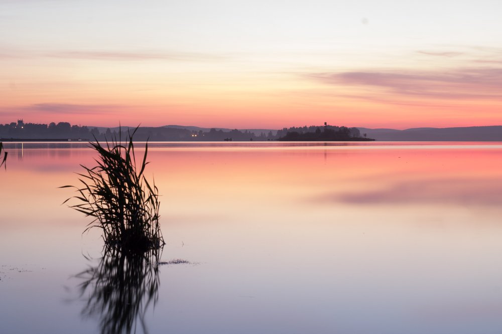 Один в воде