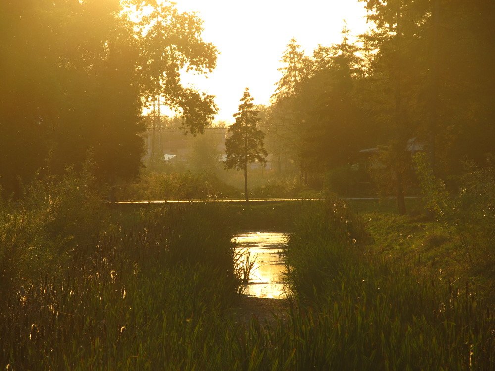 Photograph by Helen Seleznova