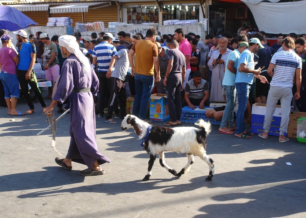Photograph by علي الساعدي