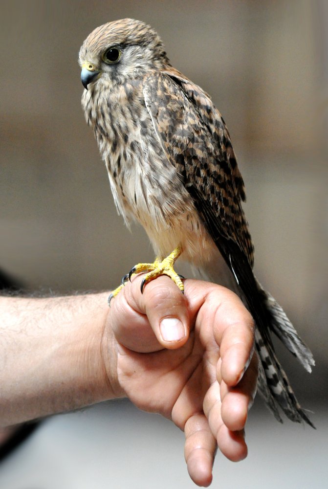 Photograph by علي الساعدي