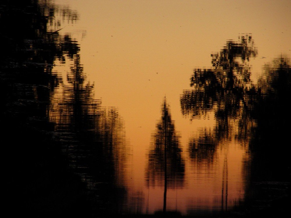 Photograph by Helen Seleznova