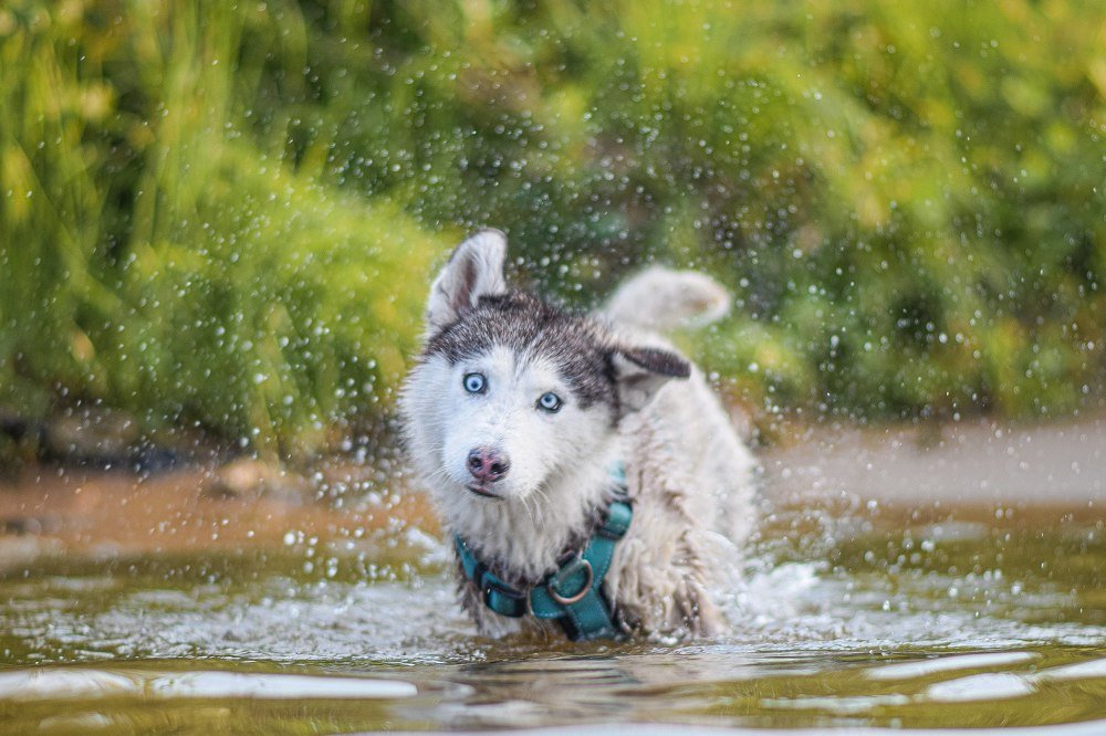 Фотография автора Мария Яропольская