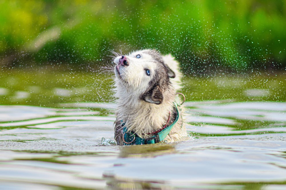 Фотография автора Мария Яропольская