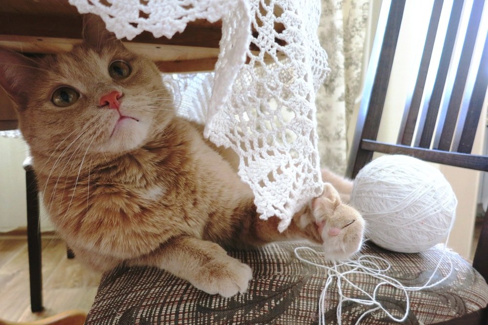 Милисий душка!