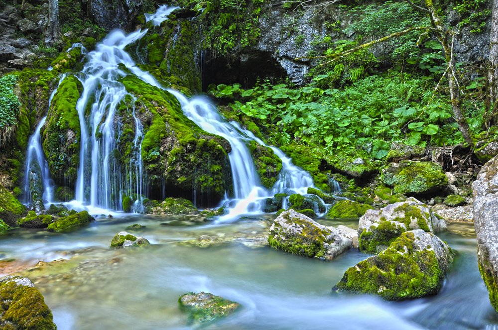 лесной водопад