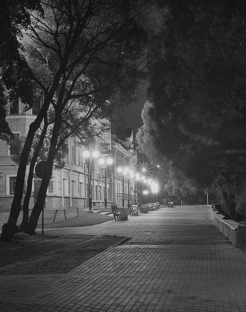 ночная аллея