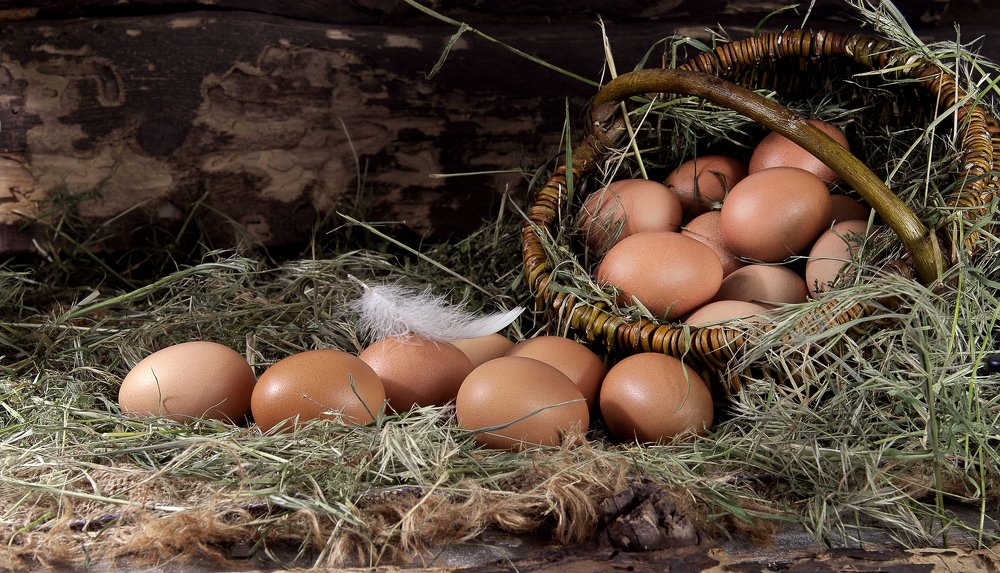 куриные яйца