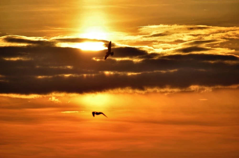 В лучах вечернего солнца