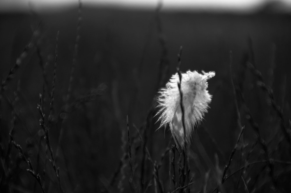 Loneliness