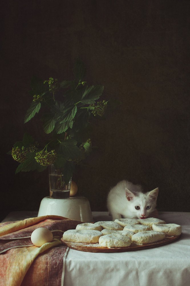 Натюрморт с кошкой и сырниками