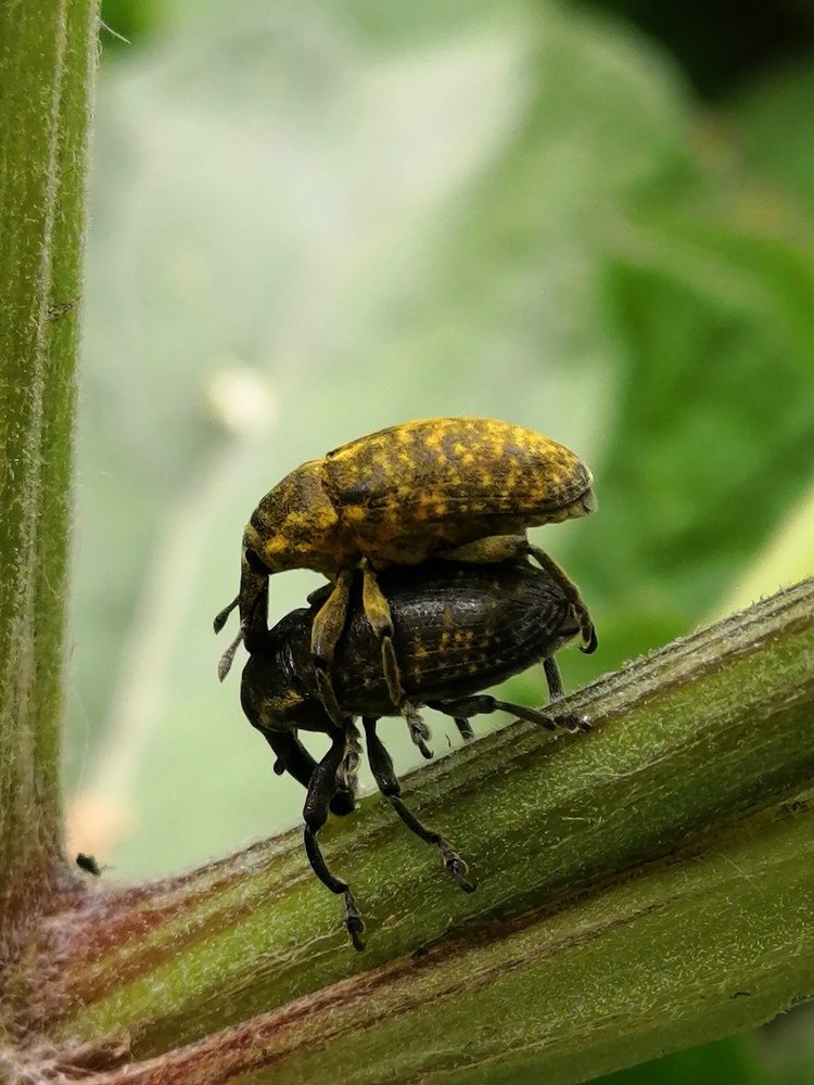 По зову природы