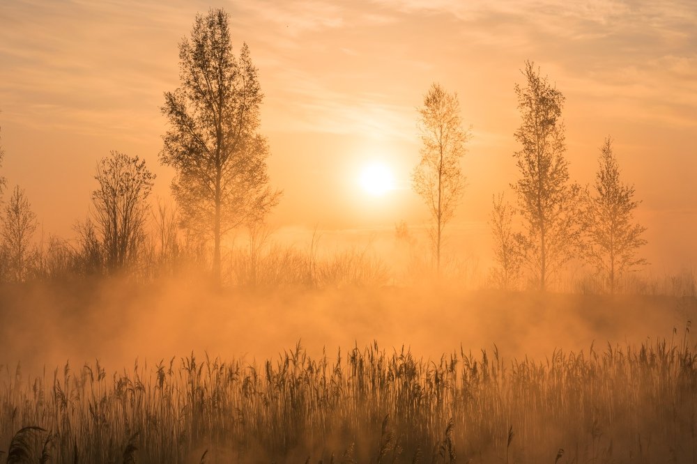 Огненный туман