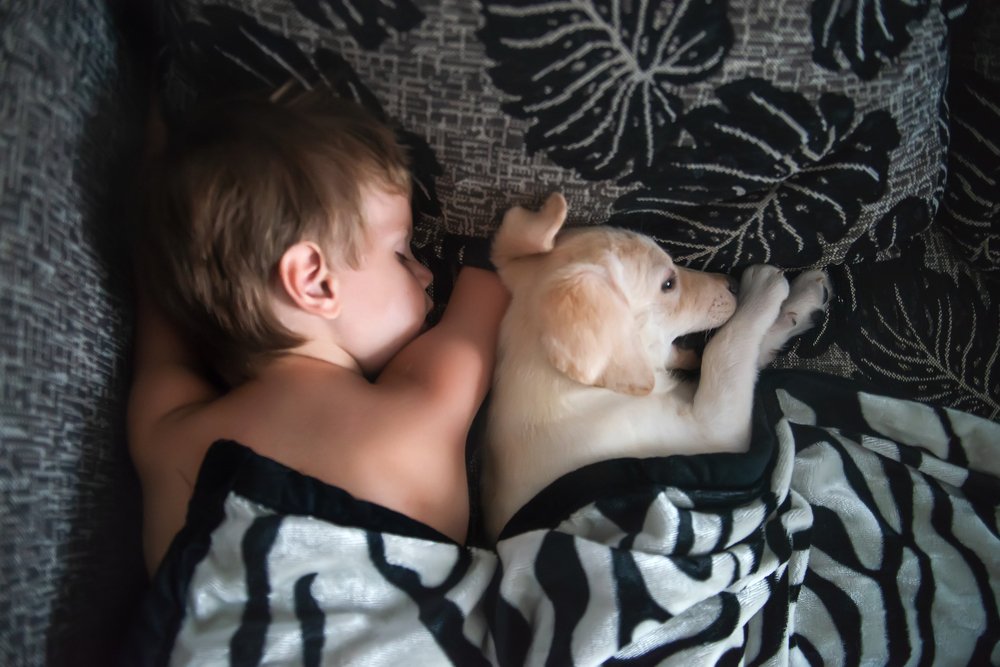 Photograph by Любовь Морец