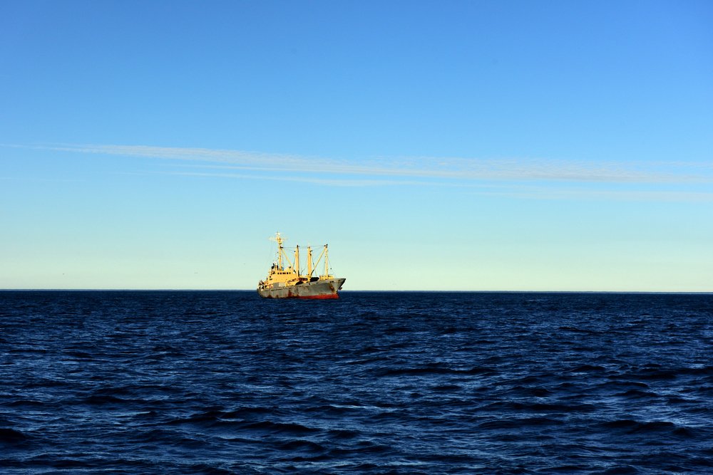 Совсем один