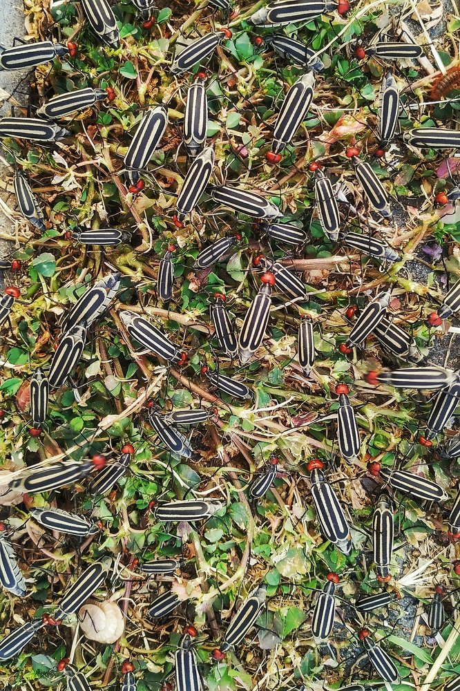 Photograph by Алена Про