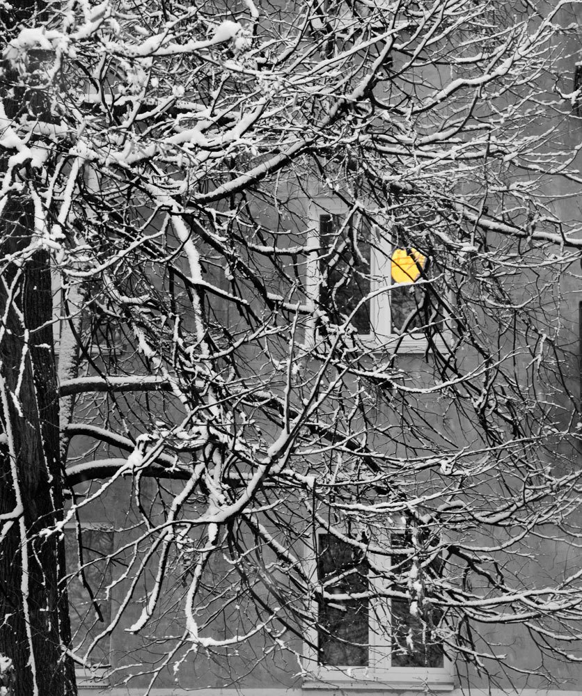 Полнолуние.