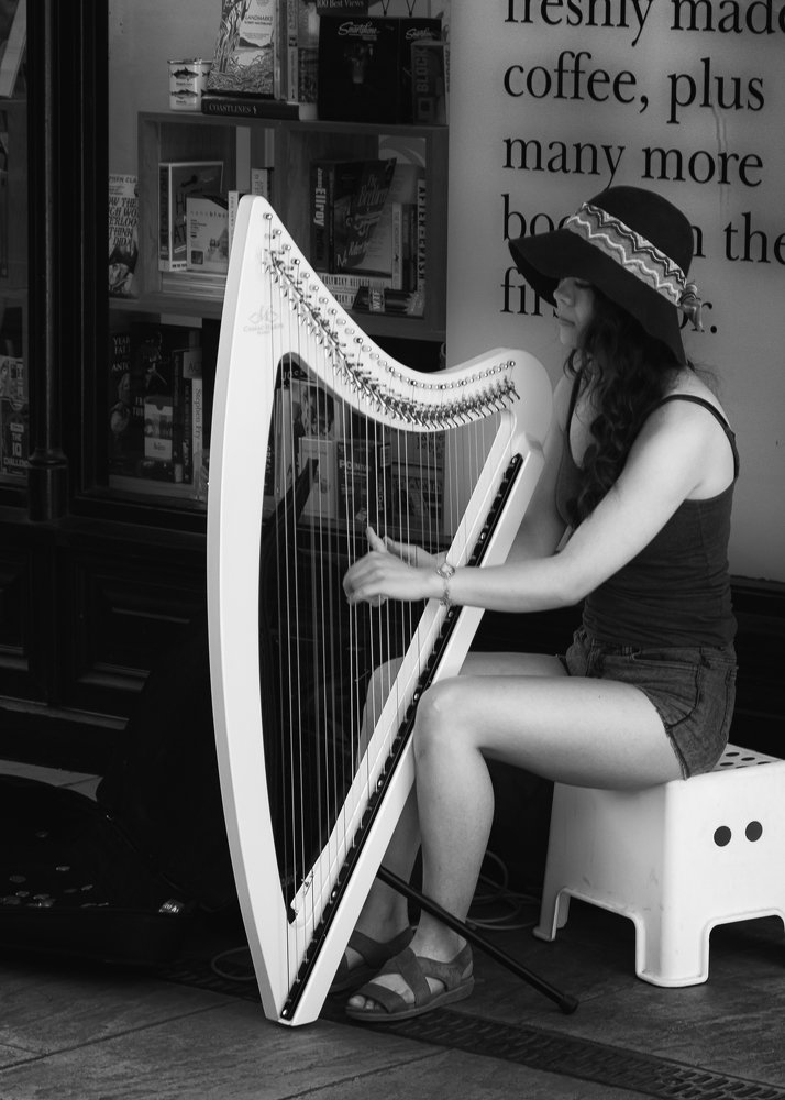 Harpist
