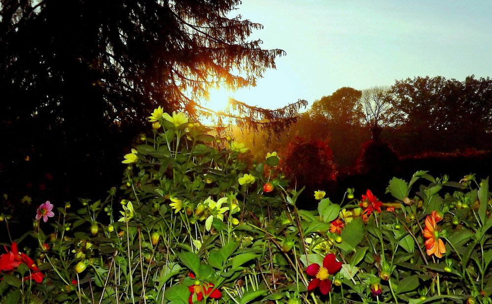 Закат в "Софиевке"