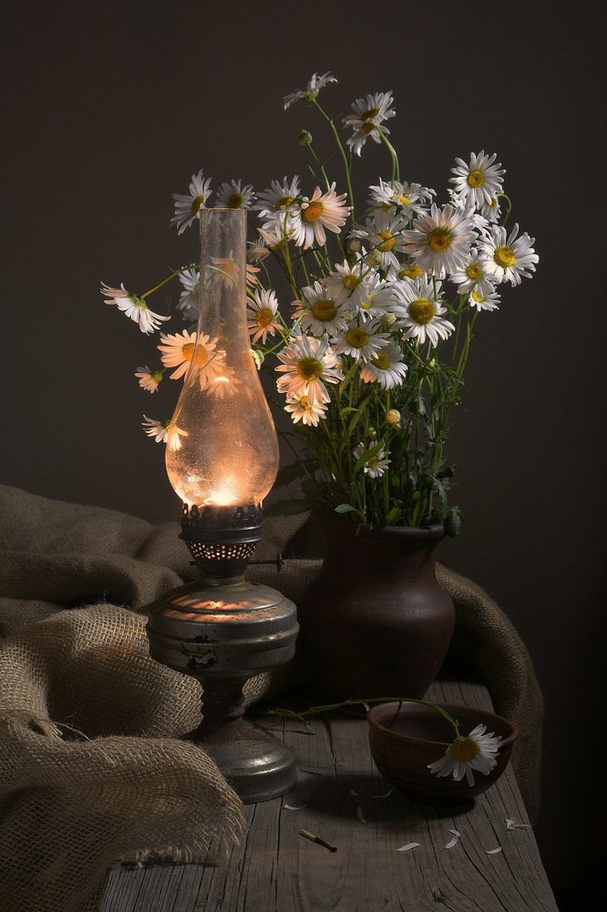 Любит не любит