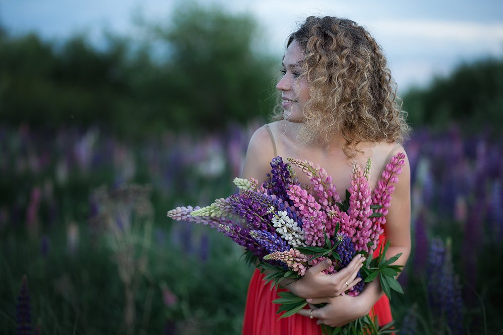 Люпиновое поле