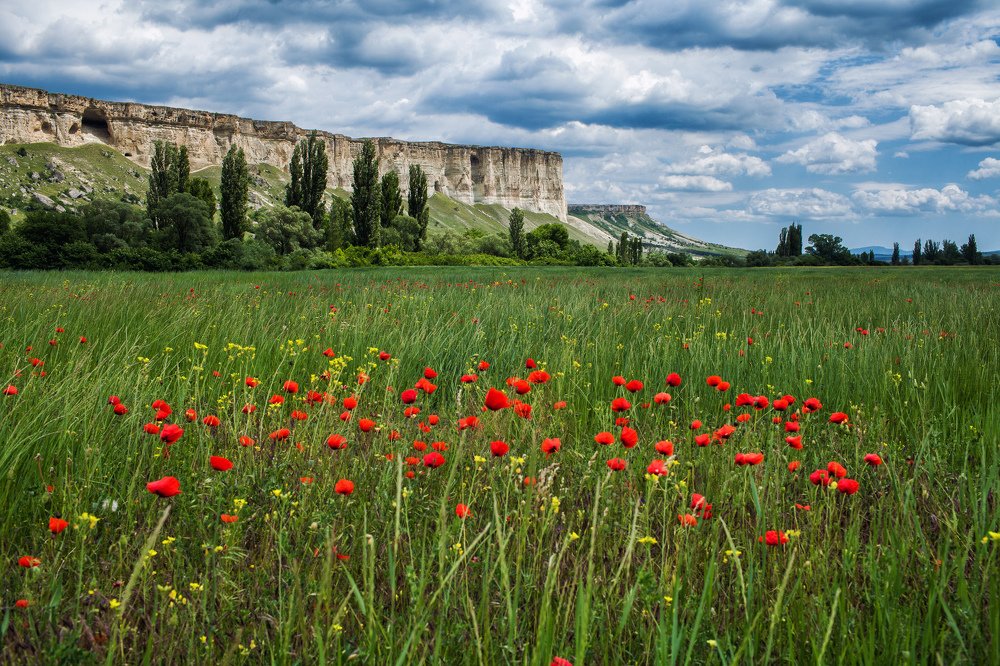 Белая Скала