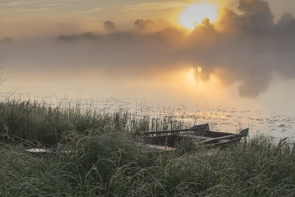 Приплыли.....