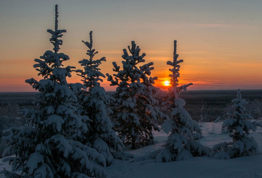 Мороз и солнце
