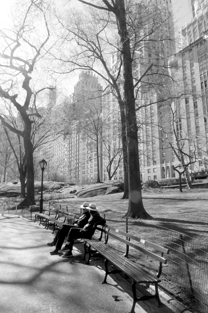 Central Park NYC, 2019