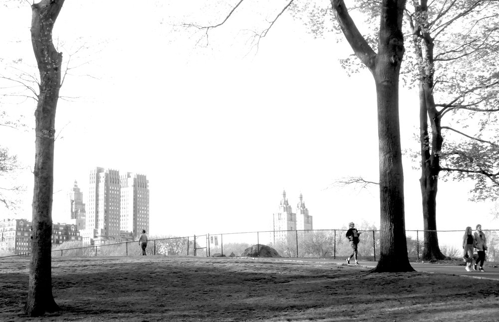 Central Park, 2019